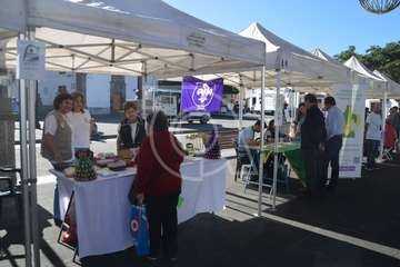 I Feria de Participación Ciudadana y del Voluntariado de Telde (Foto TA)